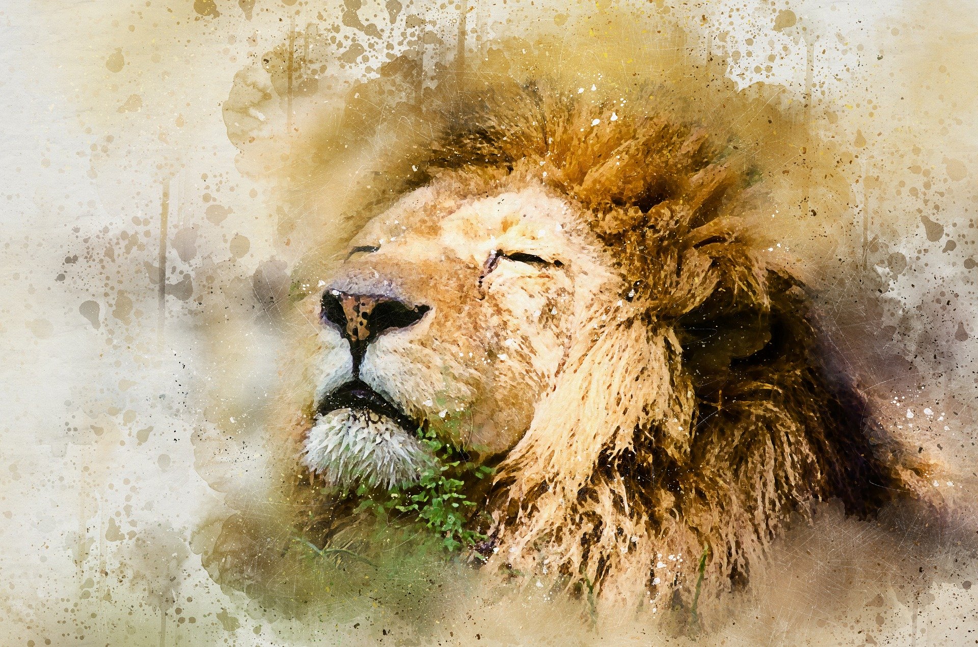  What Is Personal Leadership To You Russell Heath Coaching
